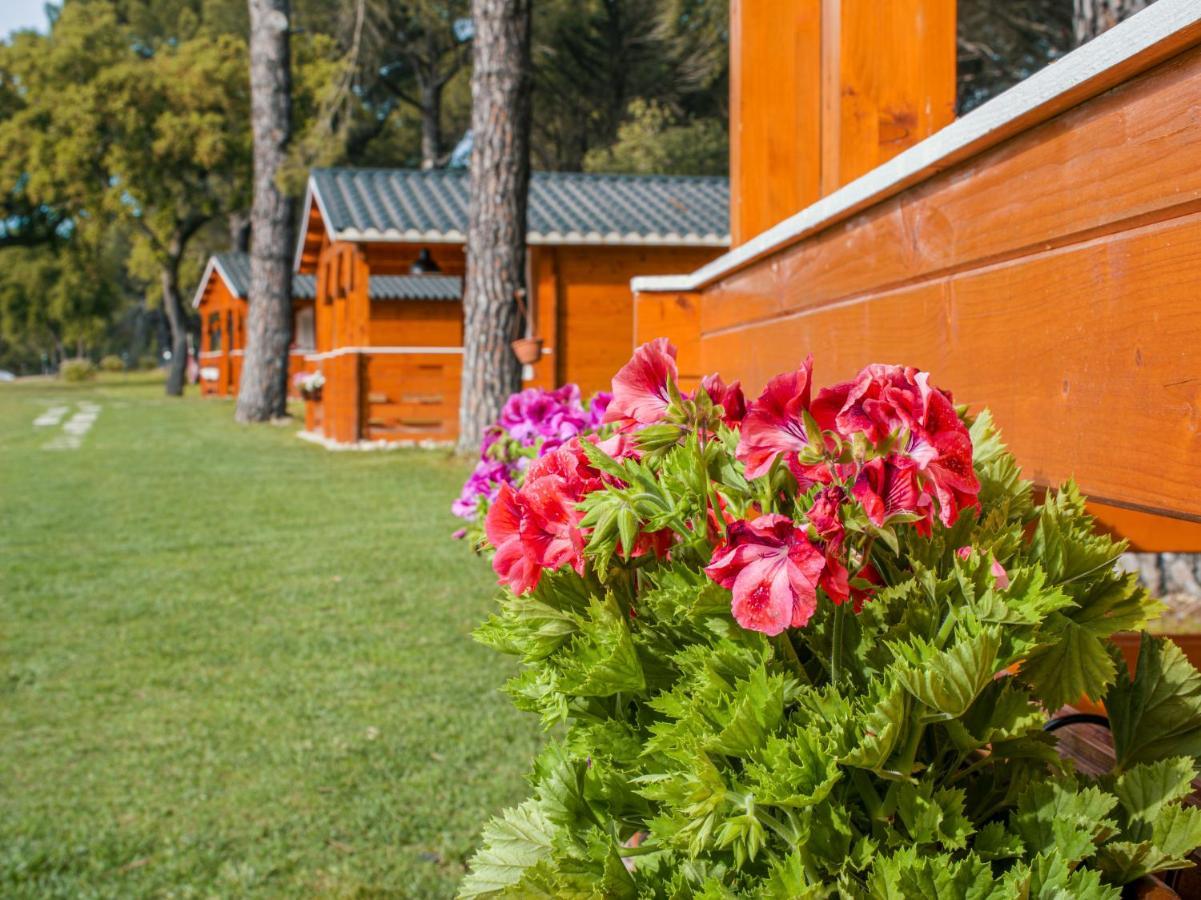 Chalet do Lago Montargil Exterior foto